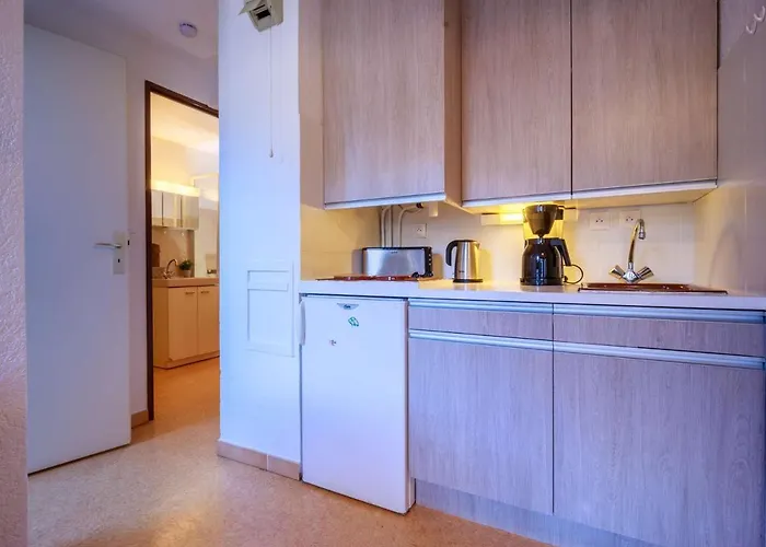 Lejlighed 4 Pers, St Lary, Animaux Acceptes - Fr-1-296-456 *